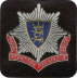 Royal Berkshire Fire and Rescue Service, Gro�britannien