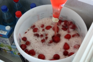 190824 Kinder- und Sommerfest