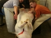 fotogalerie-051210_08