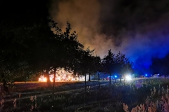 IMG_20210803_005903x