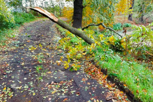 211021 Einsatz 1