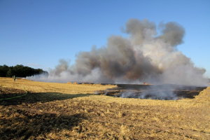 230705 Einsatz 2