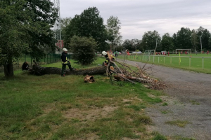 230828 Ausbildung