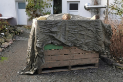 IMG_20231126_130732x