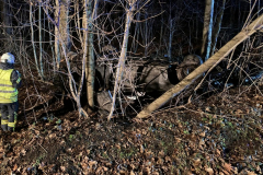 IMG-20231225-WA0009x