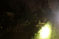 IMG-20231226-WA0007x