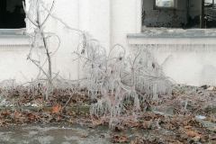 IMG-20240107-WA0027x