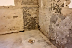 IMG-20240113-WA0011x