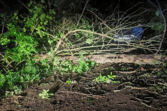 IMG-20240416-WA0003x