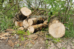 IMG_20240416_110056x