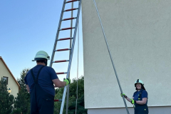 IMG-20240513-WA0011x