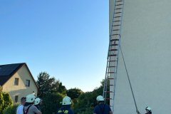 IMG-20240513-WA0012x