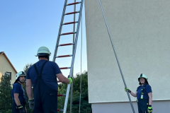 IMG-20240513-WA0016x