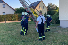 IMG-20240513-WA0028x