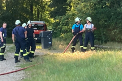 IMG-20240527-WA0011x