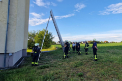 IMG-20240527-WA0016x