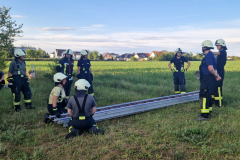 IMG-20240527-WA0024x