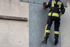 IMG-20240806-WA0004x