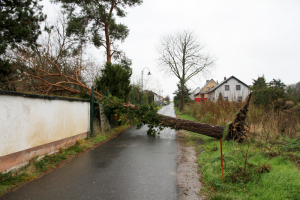 241128 Einsatz