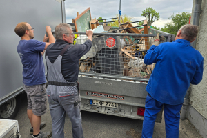 250519 Entrümpelung Fundus