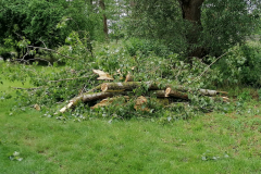 WhatsApp-Bild-2025-06-08-um-12.06.32_8f3b0f40x