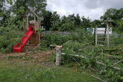 WhatsApp-Bild-2025-06-08-um-12.06.32_9ba21ef5x