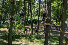 PXL_20260530_095028973x