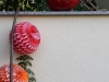 fotogalerie-120907-09_021
