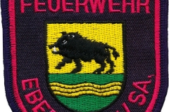 Freiwillige-Feuerwehr-Ebersbach-Sa-Deutschland