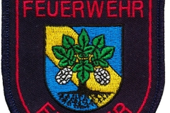 Freiwillige-Feuerwehr-Erkner-Deutschland_Mannschaft