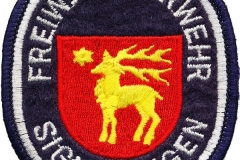 Freiwillige-Feuerwehr-Sigmaringen-Deutschland_1