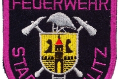 Freiwillige-Feuerwehr-Stadt-Rochlitz-Deutschland