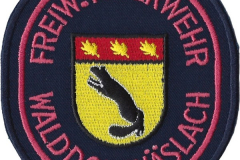 Freiwillige-Feuerwehr-Walddorfhaeslach-Deutschland