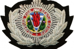 Grampian-Fire-and-Rescue-Service-Aberdeen-Großbritannien_Mützenabzeichen_1
