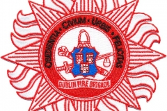 Dublin-Fire-Brigade-Irland