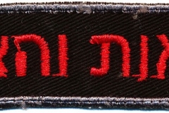 Israel-Fire-and-Rescue-Services-Israel_2