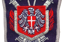 Berufsfeuerwehr-Wien-Österreich