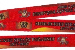 Komenda-Miejska-Panstwowej-Strazy-Pozarnej-w-Siedlcach-Warszawa-Polen-Siedlce_Band