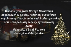 Ochotniza-Straz-Pozarna-Biskupice-Melsztynskie-Polen_Weihnachten-2015