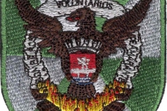 Associação-Humanitária-dos-Bombeiros-Voluntários-de-Amarante-Portugal-Amarante_1