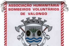 Associação-Humanitária-dos-Bombeiros-Voluntários-de-Valongo-Portugal-Valongo_Wimpel_1