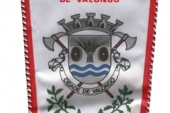 Associação-Humanitária-dos-Bombeiros-Voluntários-de-Valongo-Portugal-Valongo_Wimpel_3