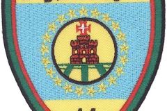 Bombeiros-Distrito-de-Santarém-Portugal
