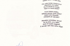 Hivatásos-Önkormányzati-Tüzoltósága-Zalaegerszeg-Ungarn_Weihnachtsgruß-2010_2