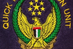 Quick-Intervention-Abu-Dhabi-VAR_Emblem_1