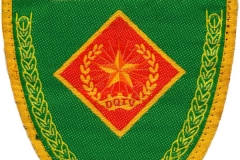 Dân-Quân-Tự-Vệ-Vietnam