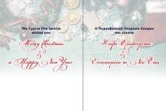 Cyprus-Fire-Service-Zypern-Nicosia_Weihnachten-2016_2
