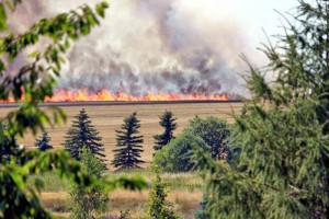 Einsatz 150801