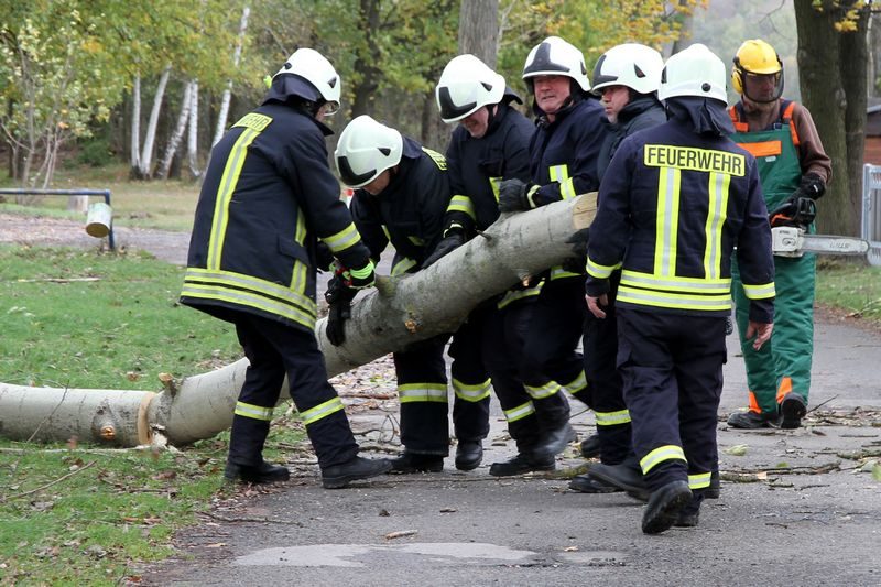 Sturm kippt Pappel am Sportplatz