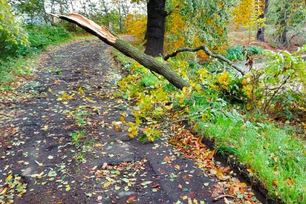 Sturm „Ignatz“ – Einsatz 1